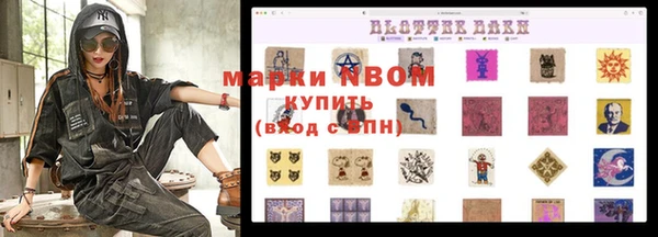 ПСИЛОЦИБИНОВЫЕ ГРИБЫ Вязьма