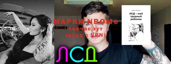 ПСИЛОЦИБИНОВЫЕ ГРИБЫ Вязьма