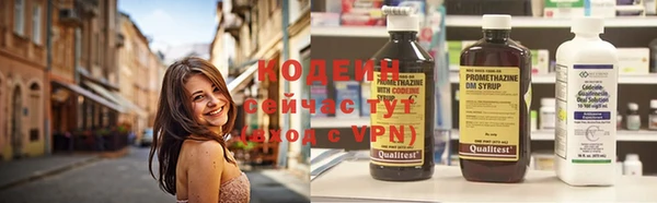 мет Вяземский