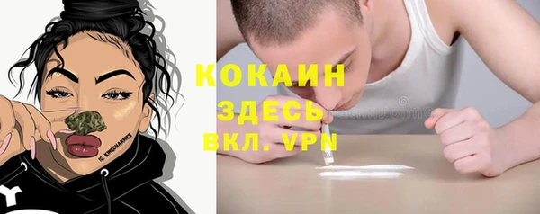 ПСИЛОЦИБИНОВЫЕ ГРИБЫ Вязьма