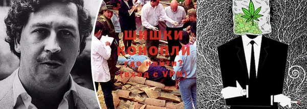 ПСИЛОЦИБИНОВЫЕ ГРИБЫ Вязьма