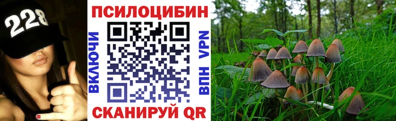 Галлюциногенные грибы Psilocybine cubensis Купить где Курчалой